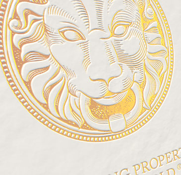 Logo and website creation